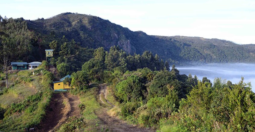 Stay above a sea of mist at 'Methap,' 'Stone House' in Anamudi Shola Stay above a sea of mist at 'Methap,' 'Stone House' in Anamudi Shola