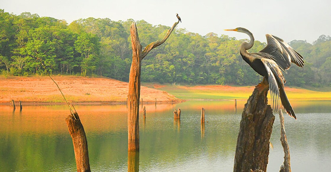 thekkady