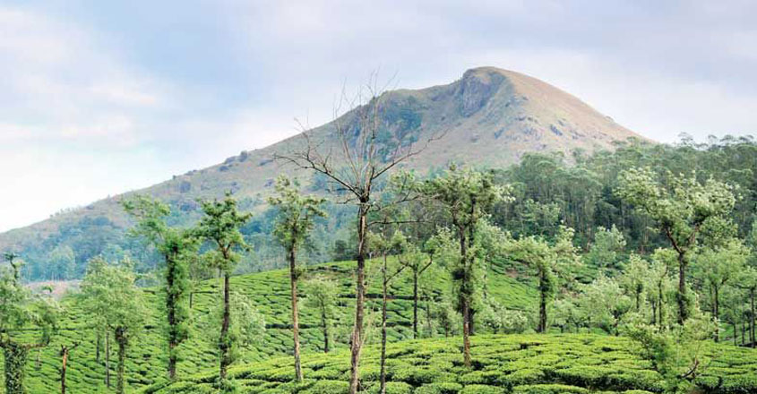 Idukki Village Stock Photos - Free & Royalty-Free Stock Photos from  Dreamstime