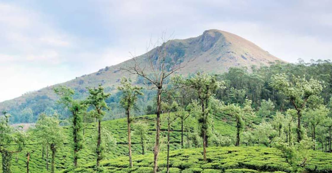 pasuppara