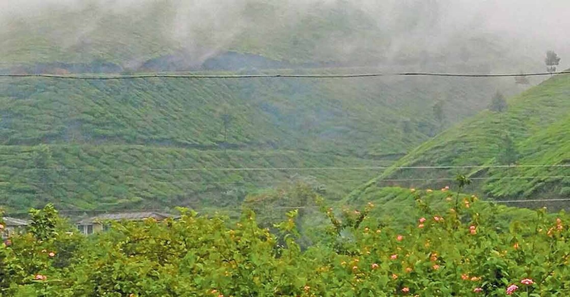 Head to Munnar to experience the myriad expressions of rain