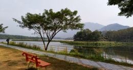 Malankara dam is perfect for a short trip near Vagamon Malankara dam is perfect for a short trip near Vagamon