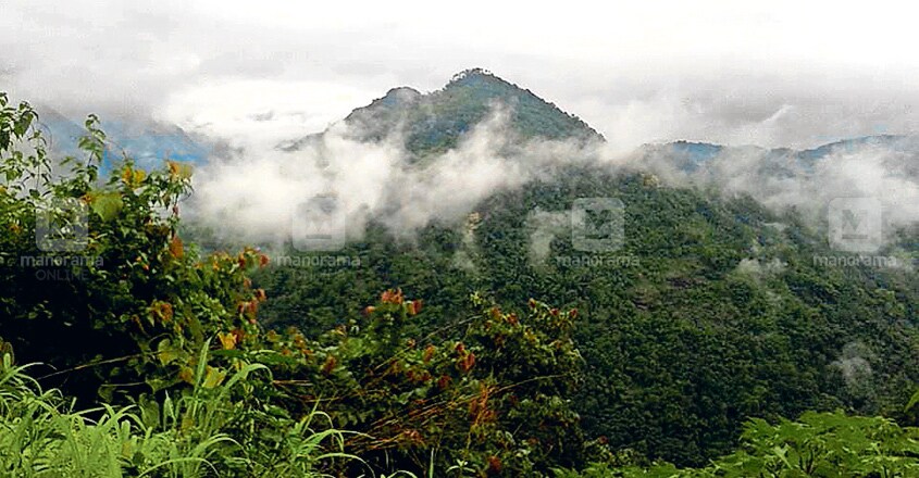 Visit Mathikettan Shola to experience cool weather even in summer