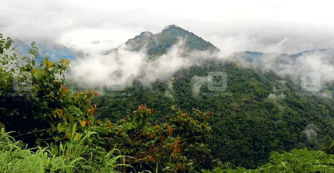 Visit Mathikettan Shola to experience cool weather even in summer Visit Mathikettan Shola to experience cool weather even in summer