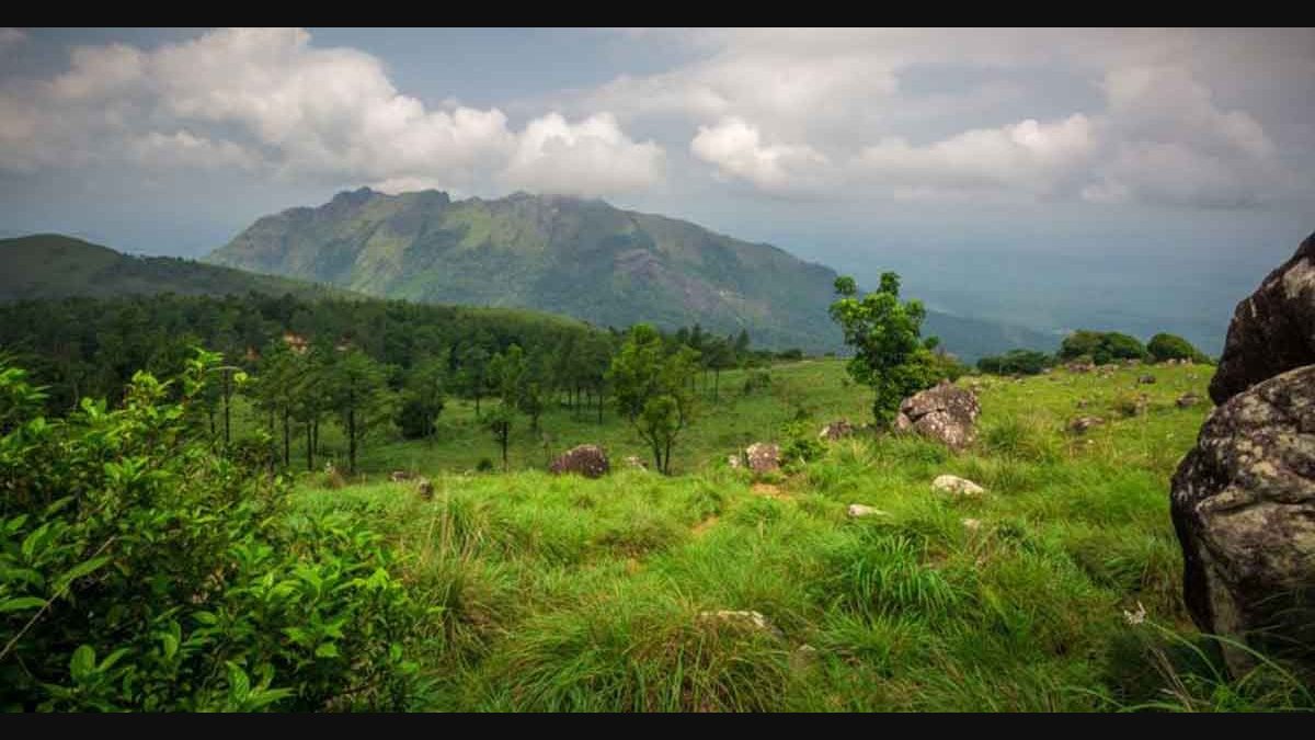 Misty and mesmerizing Ponmudi welcomes tourists again