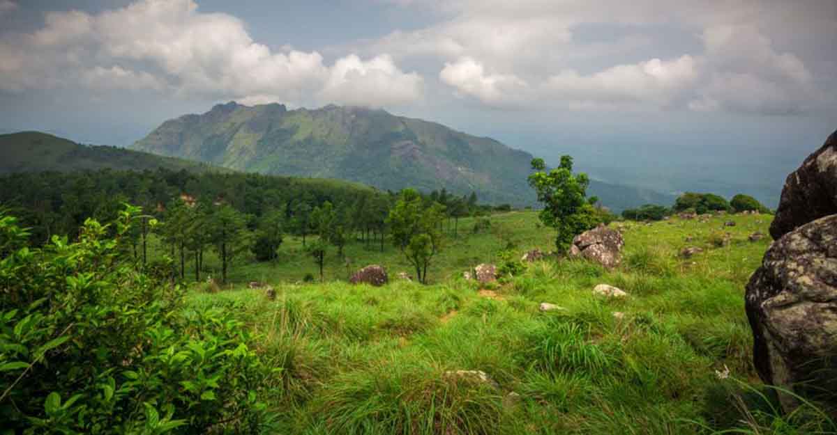 ponmudi-hills-1
