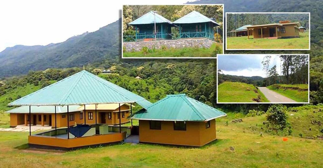 Trek through forest in Pampadum Shola 