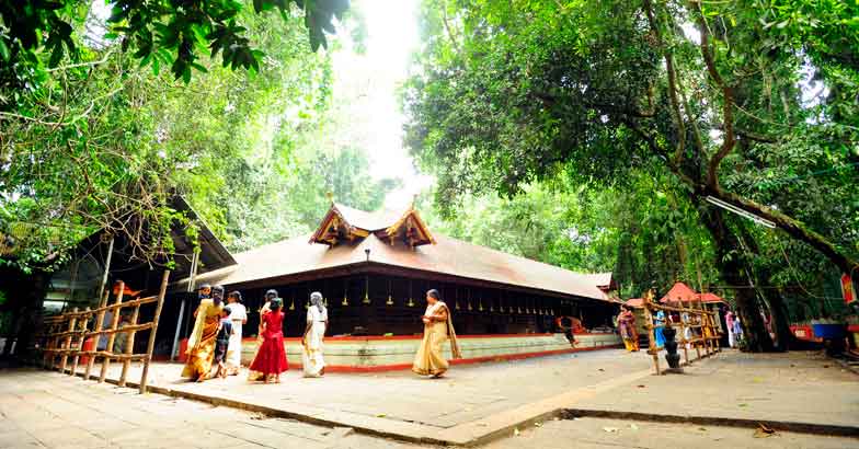 A tortoise, a peacock and a trip to three historic temples in Alappuzha A tortoise, a peacock and a trip to three historic temples in Alappuzha