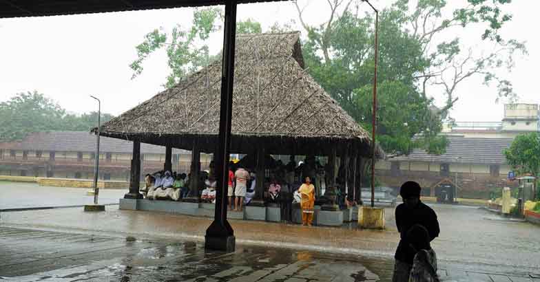 A tortoise, a peacock and a trip to three historic temples in Alappuzha A tortoise, a peacock and a trip to three historic temples in Alappuzha