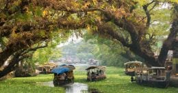 The unique charms of sights and tastes around Alappuzha The unique charms of sights and tastes around Alappuzha