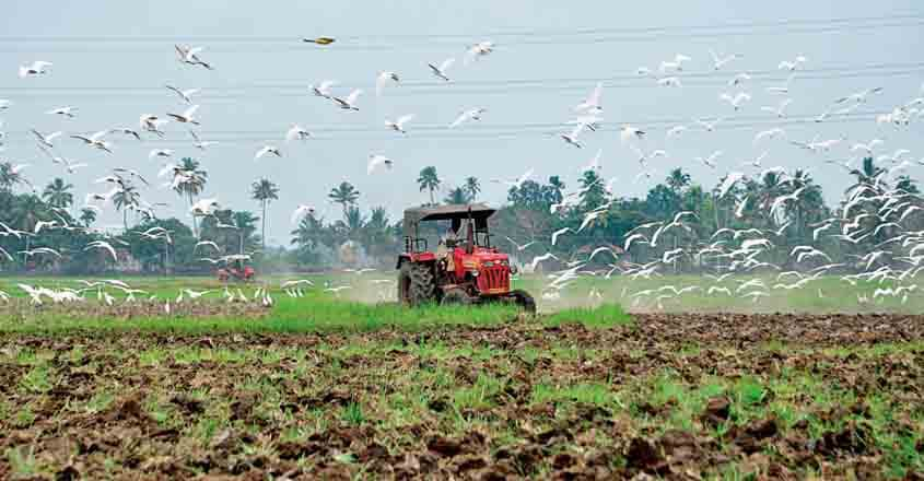 Budget 2020: FM announces 16 agricultural reforms