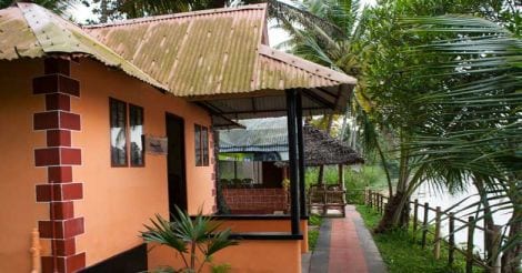 Mangrove Island: an idyllic haven to get marooned Mangrove Island: an idyllic haven to get marooned
