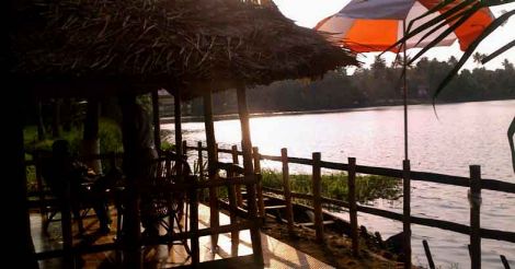 Mangrove Island: an idyllic haven to get marooned Mangrove Island: an idyllic haven to get marooned