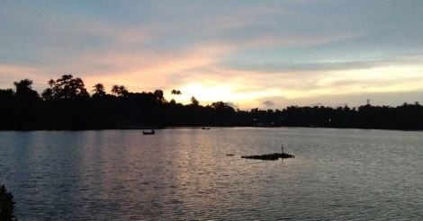 Mangrove Island: an idyllic haven to get marooned Mangrove Island: an idyllic haven to get marooned