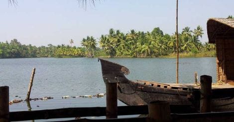 Mangrove Island: an idyllic haven to get marooned Mangrove Island: an idyllic haven to get marooned