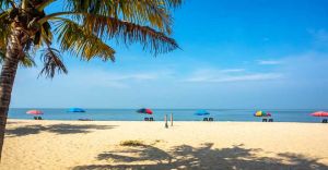 Alappuzha, Marari: Two among the most scenic beaches in Kerala Alappuzha, Marari: Two among the most scenic beaches in Kerala
