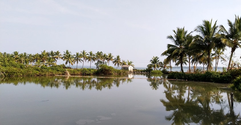 chathamma3 chathamma3