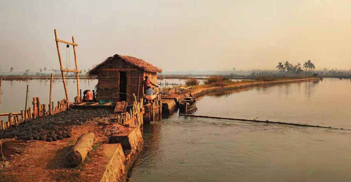 kochi village