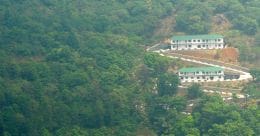 Enjoy trekking in the mist-covered forests of Paithalmala Enjoy trekking in the mist-covered forests of Paithalmala