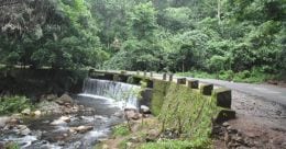 Pathanapuram to Achenkovil, an exhilarating drive into the wild Pathanapuram to Achenkovil, an exhilarating drive into the wild