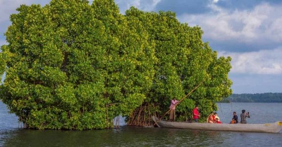 Munroe island, a hidden gem in the backwaters of Kerala