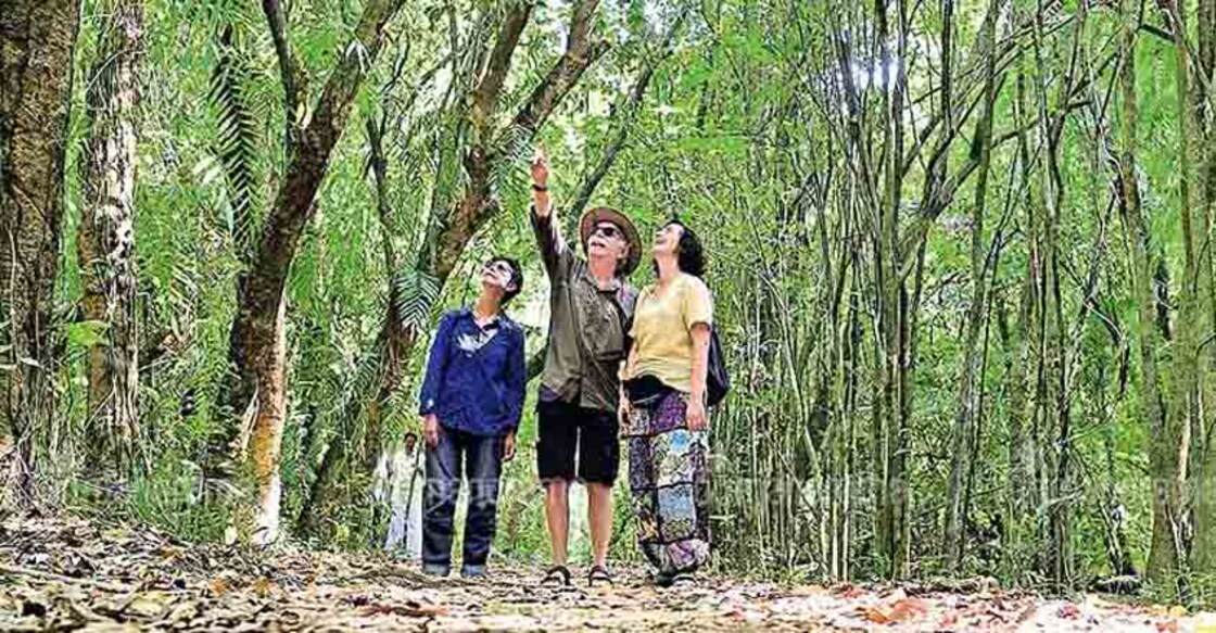 Kumarakom, Vagamon buzz with tourists during Christmas-New Year season