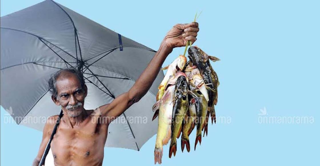 kottayam-fish-2