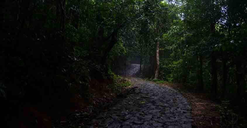 kakkayam-forest kakkayam-forest