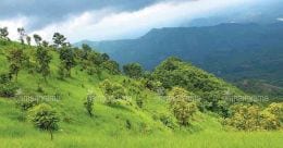 Mind every step as you plod to Chekkunnu in Malappuram Mind every step as you plod to Chekkunnu in Malappuram