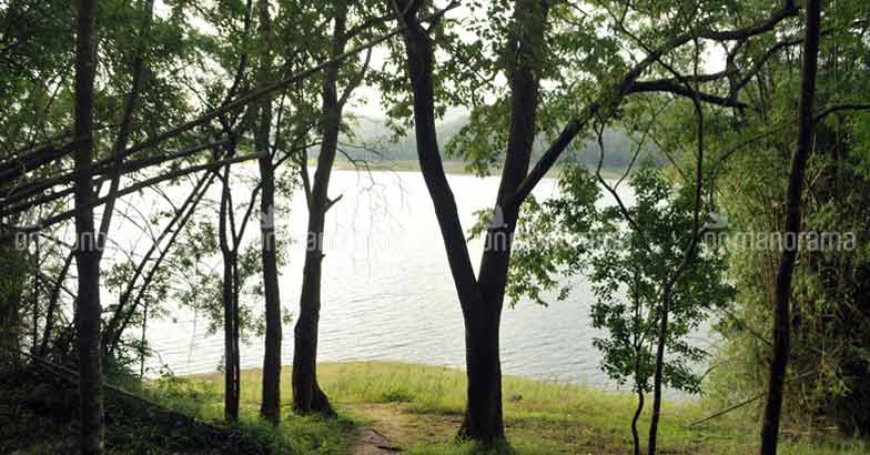 On nature's lap: A getaway to Parambikulam On nature's lap: A getaway to Parambikulam