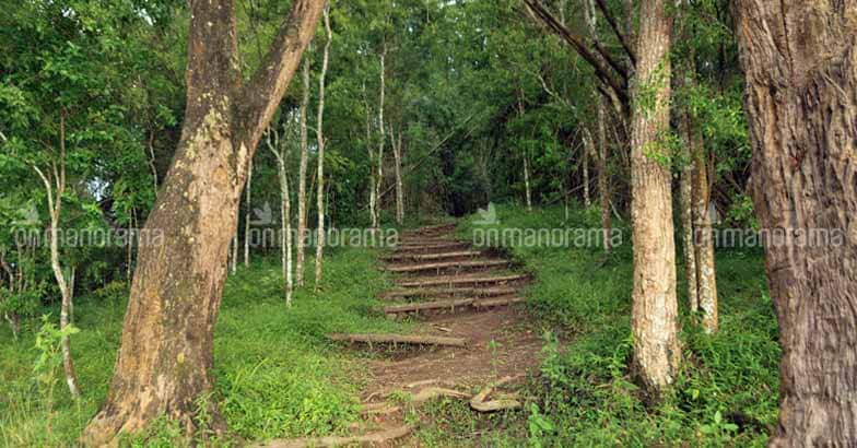 On nature's lap: A getaway to Parambikulam On nature's lap: A getaway to Parambikulam