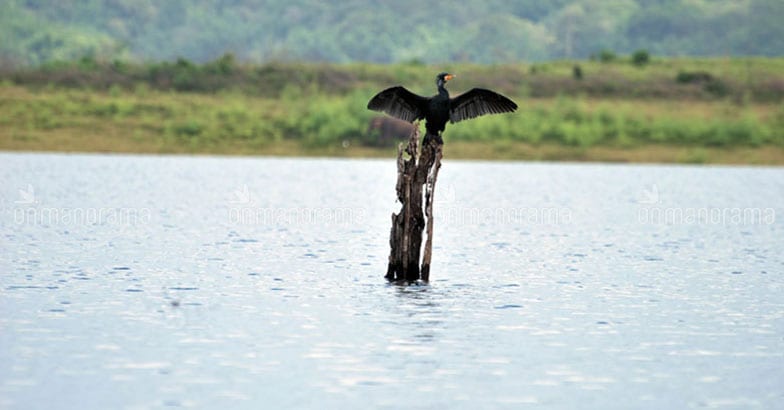 On nature's lap: A getaway to Parambikulam On nature's lap: A getaway to Parambikulam