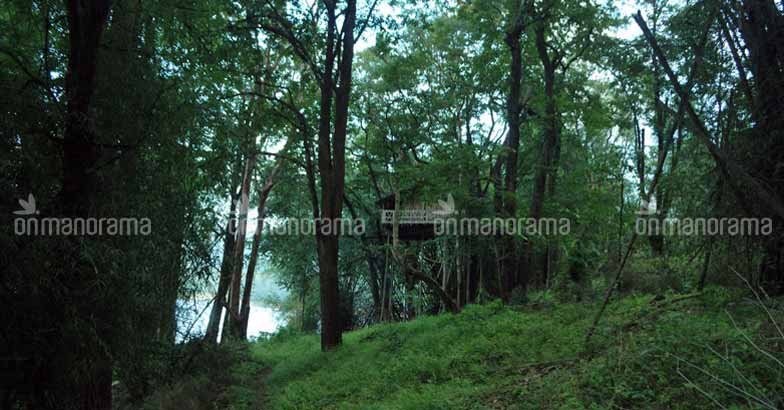 On nature's lap: A getaway to Parambikulam On nature's lap: A getaway to Parambikulam