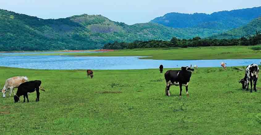 Enjoy your perfect Palakkad picnic in Malampuzha | Malampuzha ...