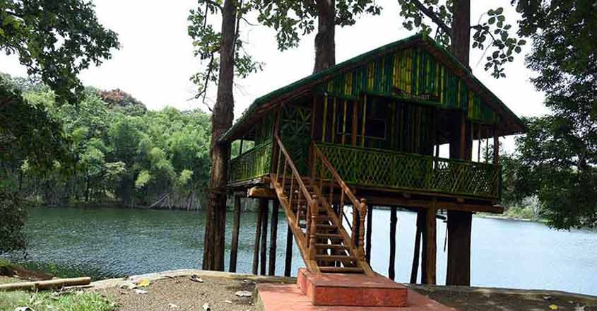 Parambikulam beckons nature lovers to stay at beautiful huts in forest Parambikulam beckons nature lovers to stay at beautiful huts in forest