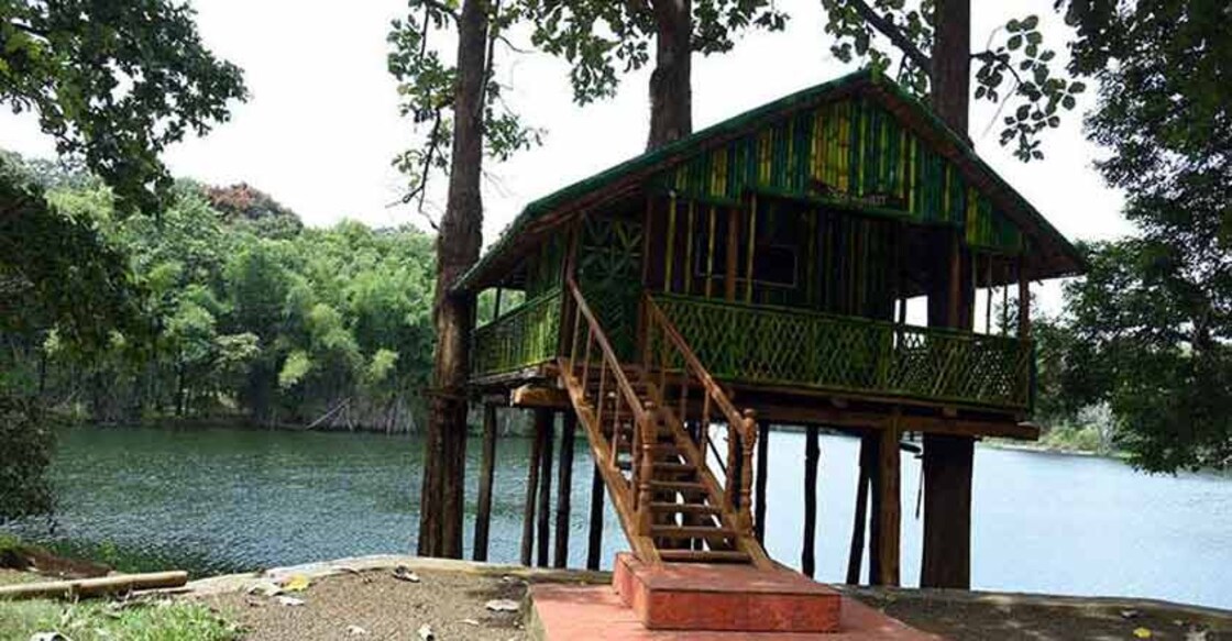 Parambikulam beckons nature lovers to stay at beautiful huts in forest