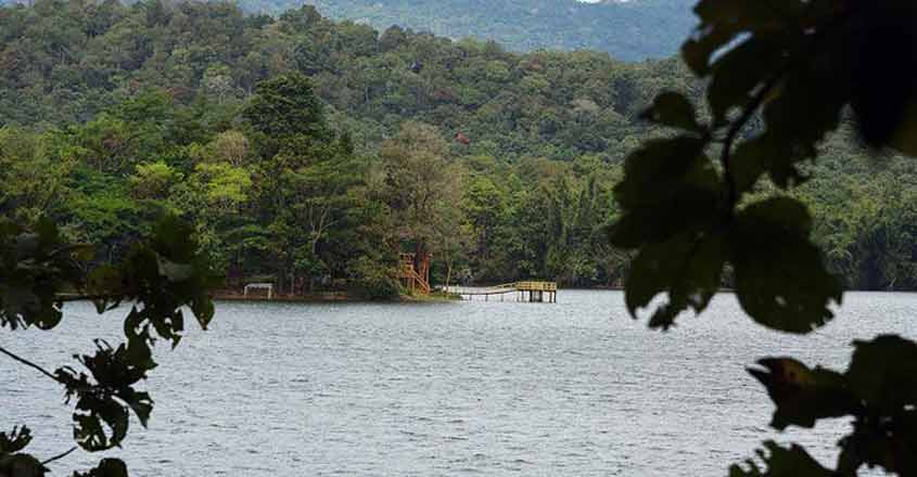 Parambikulam beckons nature lovers to stay at beautiful huts in forest Parambikulam beckons nature lovers to stay at beautiful huts in forest