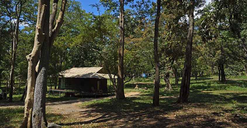 Parambikulam beckons nature lovers to stay at beautiful huts in forest Parambikulam beckons nature lovers to stay at beautiful huts in forest