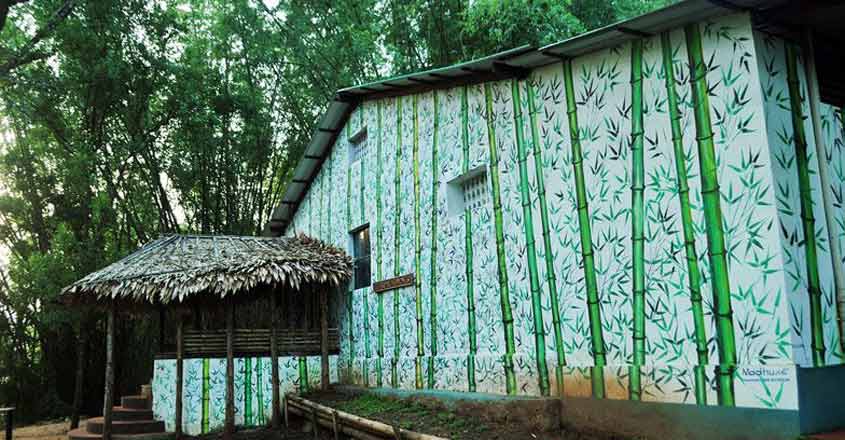 Parambikulam beckons nature lovers to stay at beautiful huts in forest Parambikulam beckons nature lovers to stay at beautiful huts in forest