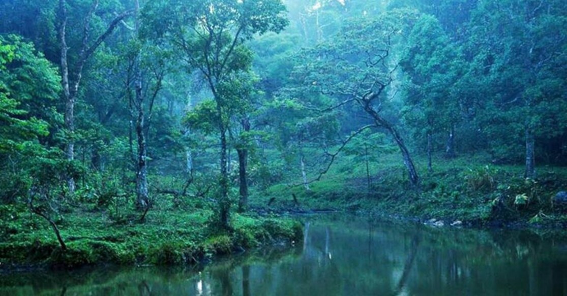 Nelliampathy, a canvas of green