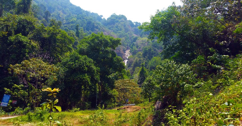 meenvallam-palakkad meenvallam-palakkad