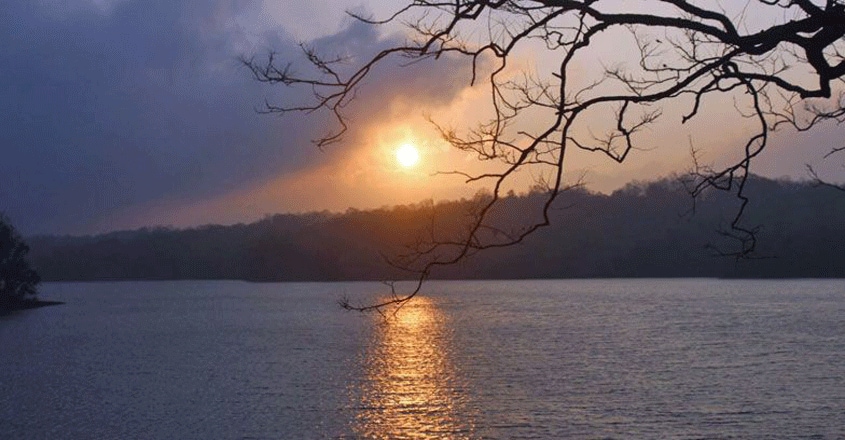 Peruvari Island Nest is the ideal place for your next getaway to Parambikulam Peruvari Island Nest is the ideal place for your next getaway to Parambikulam