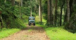 Experience the wild firsthand at Pakuthippalam Forest Lodge Experience the wild firsthand at Pakuthippalam Forest Lodge