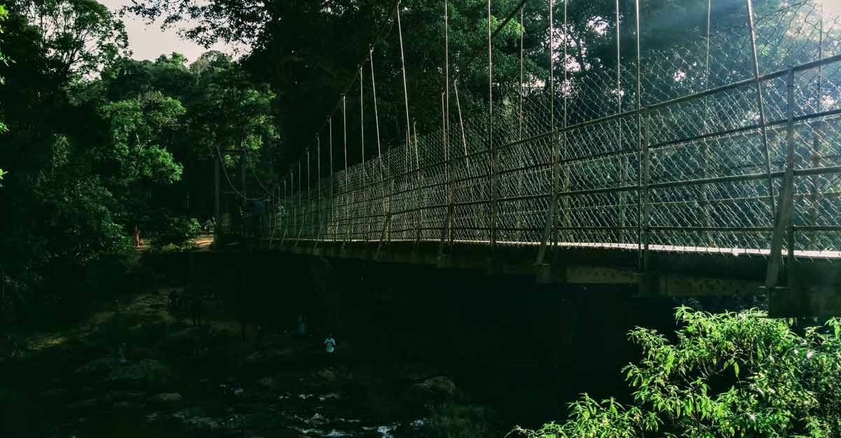 hanging-bridge-nelliyampathy hanging-bridge-nelliyampathy