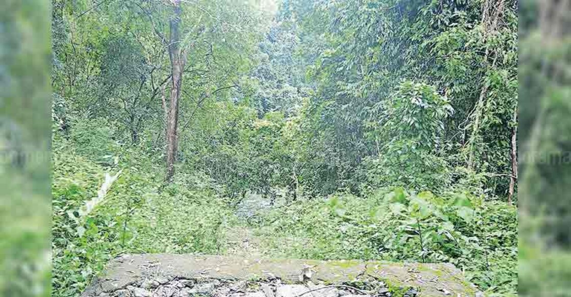 Mega Adavi tourism project  flounders in execution