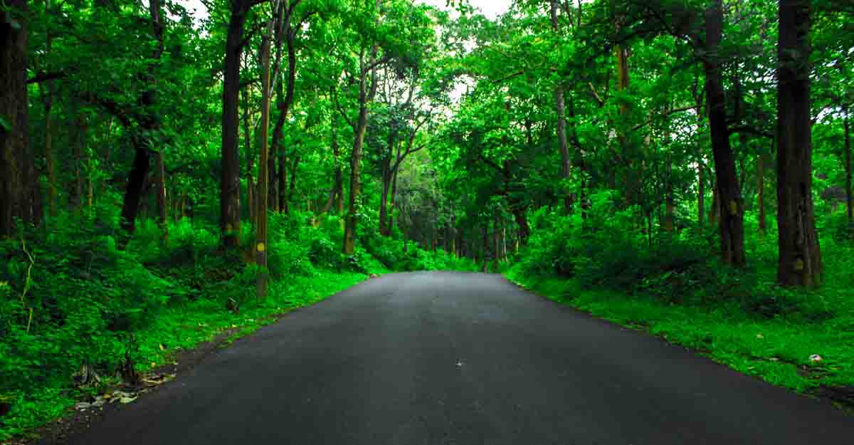 kerala forest tour