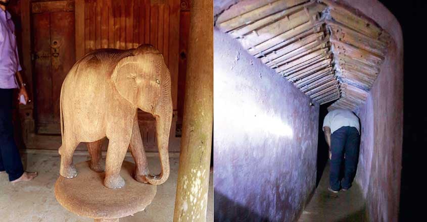 charitra-malika-elephant charitra-malika-elephant