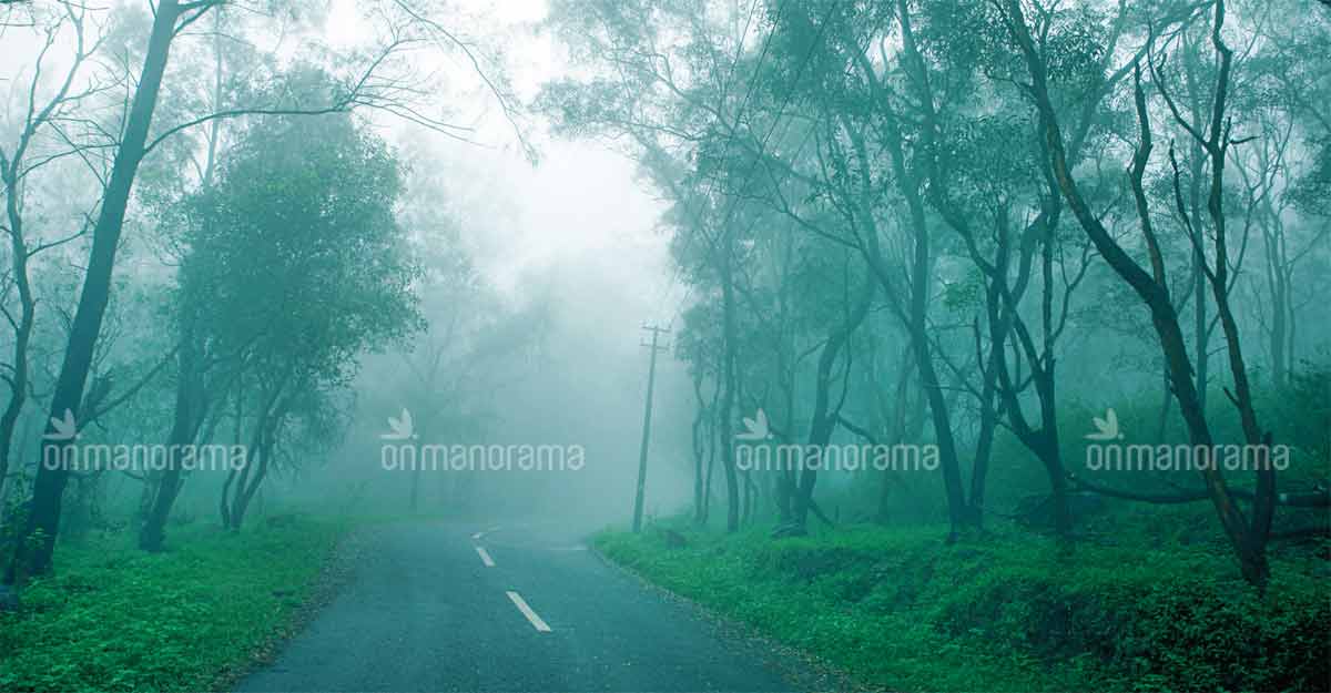 Take a trip to Ponmudi as it turns mesmerizingly beautiful during monsoon Take a trip to Ponmudi as it turns mesmerizingly beautiful during monsoon