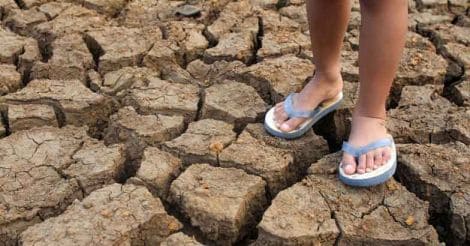 Nine districts in Kerala to be declared drought-hit