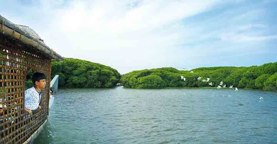 chettuva